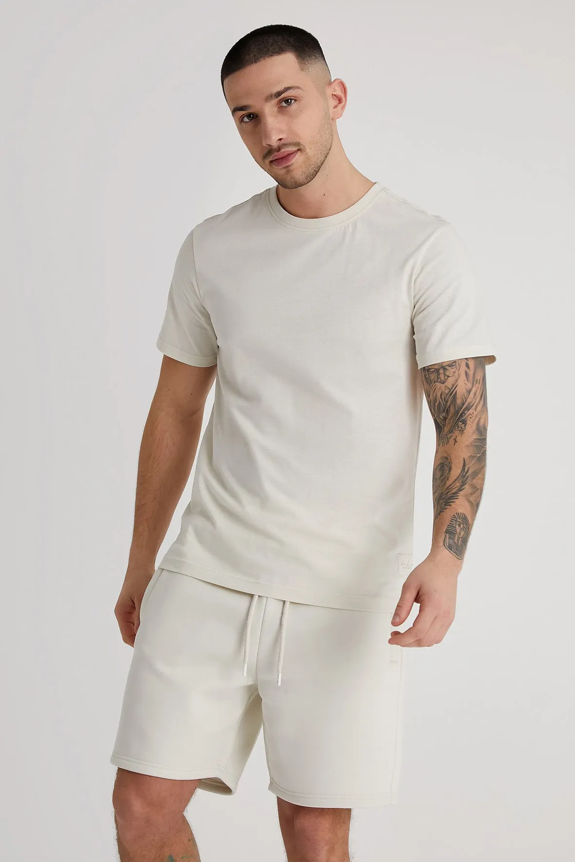 Aston crew neck t-shirt in Dove