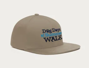 Dog Days of Summer Hat