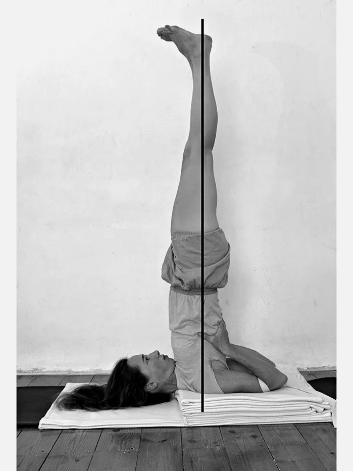 Props for Yoga Volume 3: Inverted Asanas