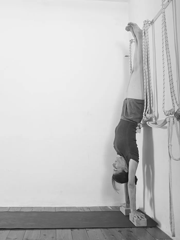 Props for Yoga Volume 3: Inverted Asanas